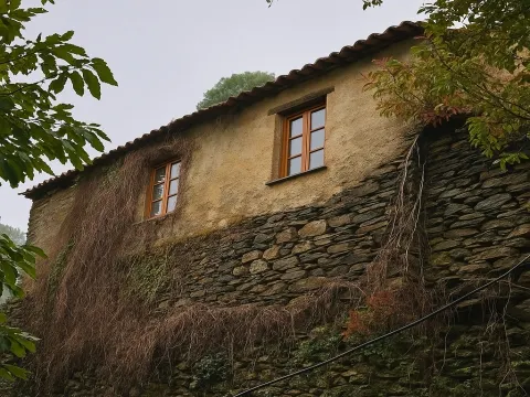Quinta em socalcos Águeda para projeto turístico