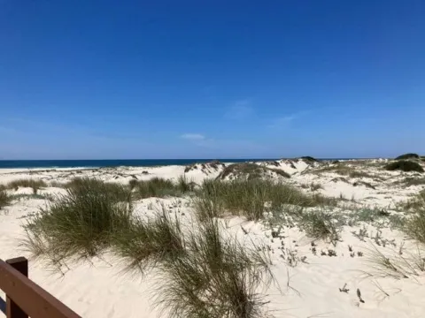 Terreno Aveiro, São Jacinto junto à ria à praia, para construção moradia