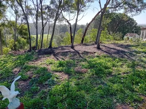 Landwirtschaftliches Grundstück mit Meerblick – Rogil (Aljezur)