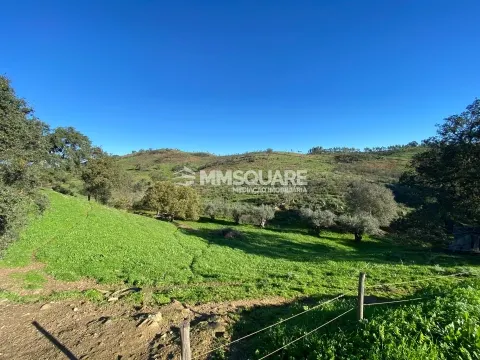 gemischtes Grundstück