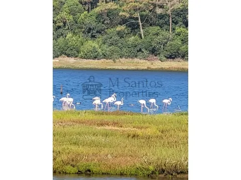 OBIDOS -  BOM SUCESSO RESORT  - Oportunidade - Terreno  609m2  com projeto Arqt  Carrilho da  Graça.