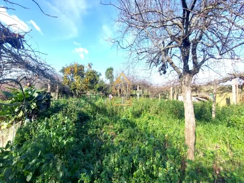 Moradia T4 com Piscina  - Vila Conde