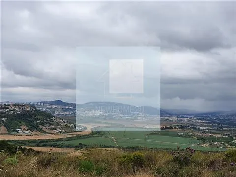 Piece of Real Estate