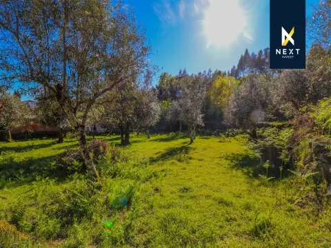 Terreno Urbano com 763 m² para Moradia Isolada | Vila Nova - Coutos | 10 Minutos de Viseu