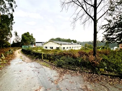 Terreno Industrial - São Mamede Coronado, Trofa