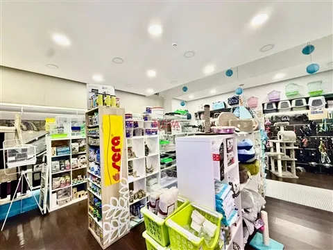 Ästhetische Salon