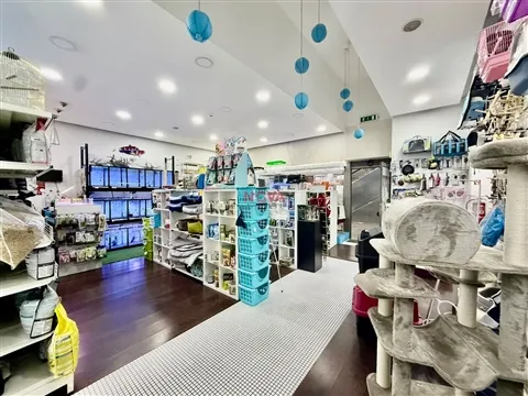 Ästhetische Salon