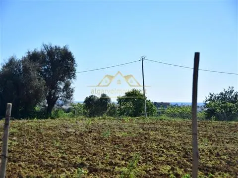 Farm with project for Rural Hotel - Albufeira