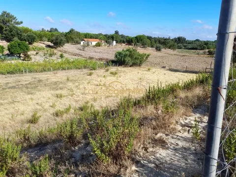 Quinta com moradia T3 