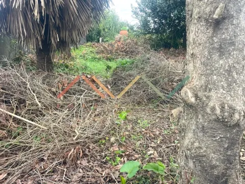 Terreno Para Construção