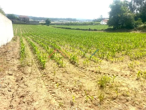 Terreno Para Construção