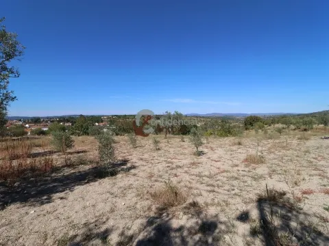 img_44