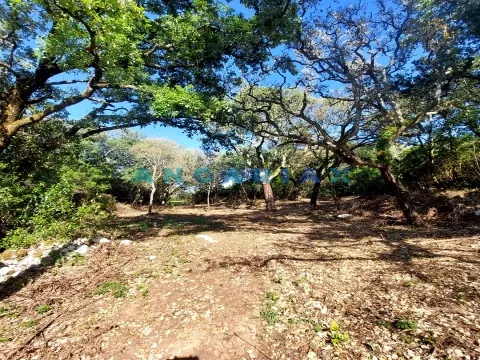 ANG1074 - Ruína para Venda em Alcanede, Santarém