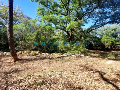 ANG1074 - Ruína para Venda em Alcanede, Santarém