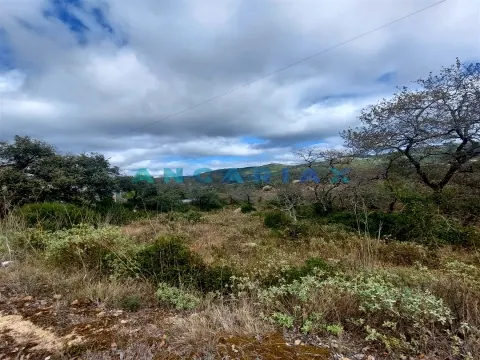 ANG1223 - Land for Sale in Alqueidão da Serra, Porto de Mós