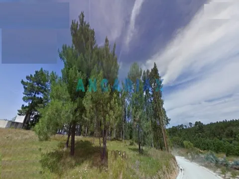 ANG1305 - Land for Sale in Marinha Grande