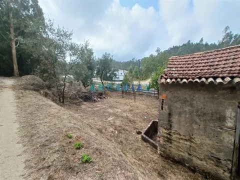 ANG1421 - 4 Bedroom House for Sale in Albergaria dos Doze, Pombal