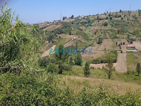 ANG1487 - Terreno para Venda em Batalha