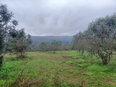 ANG1576 - Terrain à Vendre à Santa Catarina da Serra