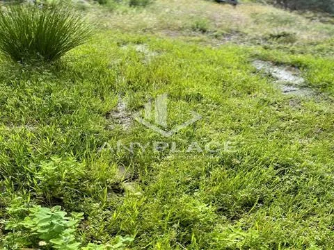 Homefall with enormous potential.