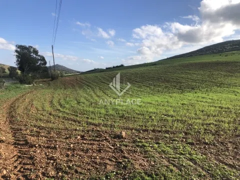 &#22303;&#22320;&#28508;&#21147;&#24040;&#22823;&#65292;&#38754;&#31215;&#20026;58&#20844;&#39031;&#12290;