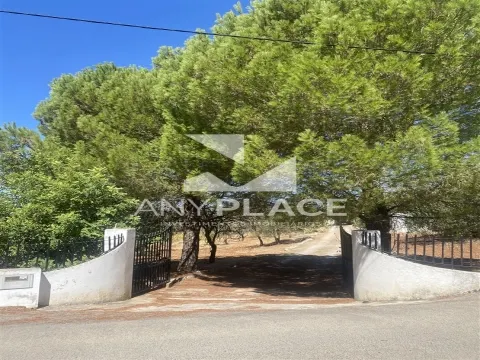 Farm to recover located in a highly valued area with excellent views.