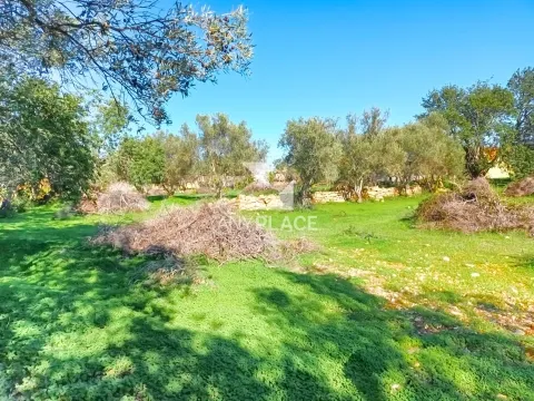 &#1047;&#1077;&#1084;&#1077;&#1083;&#1100;&#1085;&#1099;&#1081; &#1091;&#1095;&#1072;&#1089;&#1090;&#1086;&#1082;, &#1088;&#1072;&#1089;&#1087;&#1086;&#1083;&#1086;&#1078;&#1077;&#1085;&#1085;&#1099;&#1081; &#1074; &#1043;&#1086;&#1083;&#1076;&#1088;&#1077;, &#1089; &#1086;&#1090;&#1083;&#1080;&#1095;&#1085;&#1099;&#1084; &#1087;&#1086;&#1090;&#1077;&#1085;&#1094;&#1080;&#1072;&#1083;&#1086;&#1084; &#1076;&#1083;&#1103; &#1089;&#1090;&#1088;&#1086;&#1080;&#1090;&#1077;&#1083;&#1100;&#1089;&#1090;&#1074;&#1072; &#1076;&#1074;&#1091;&#1093; &#1087;&#1088;&#1077;&#1089;&#1090;&#1080;&#1078;&#1085;&#1099;&#1093; &#1074;&#1080;&#1083;&#1083;.