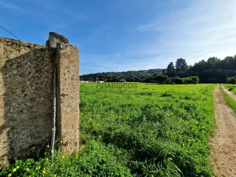 Terreno Rústico - Plano - Bons acessos - Perímetro de Rega - Odiáxere - Lagos - Algarve