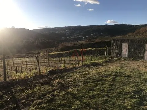 Terreno com 16.635m2 em Gôve, Baião.
