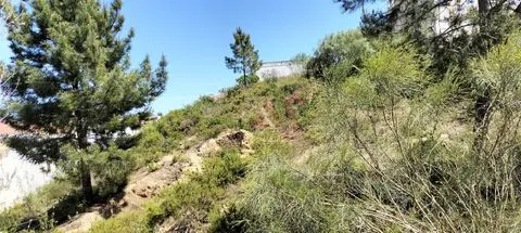 Lote de terreno a 3 kms da cidade de Santarém, no coração da Lezíria Ribatejana