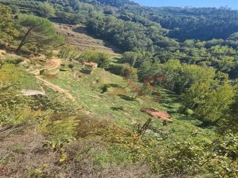 Quinta com 5 hectares e 9 casas para restaurar em Souselo, Cinfães