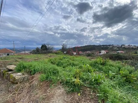 img_4