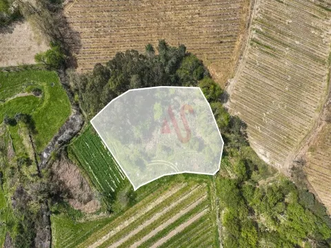 Terreno com 3.300 m² em Pedreira, Rande e Sernande, Felgueiras