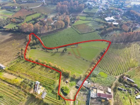 Terrenos Agrícolas com 13.513 m² em Pedreira, Rande e Sernande, Felgueiras