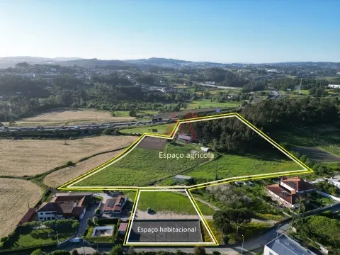 Terreno com  25.000 m² em Palmeira, Santo Tirso