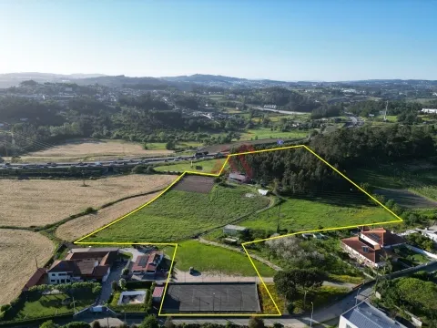 Terreno com  25.000 m² em Palmeira, Santo Tirso