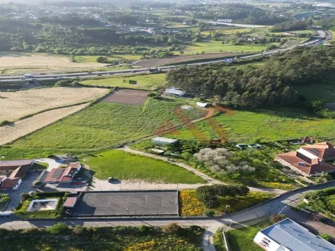 Terreno com  25.000 m² em Palmeira, Santo Tirso