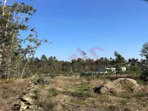 Terreno para Construção em Sanfins – 3.000 m² | Excelente Oportunidade