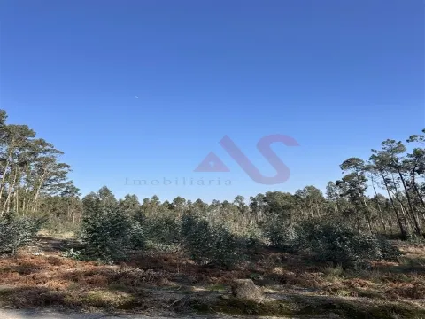 Terreno para Construção em Sanfins – 5.300 m² | Excelente Oportunidade