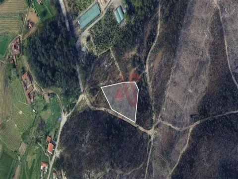 Terreno Florestal com 3300m2 em Silvares, Lousada