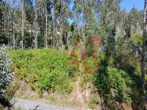 Terreno com 1600m2 para construção em Silvares, Lousada