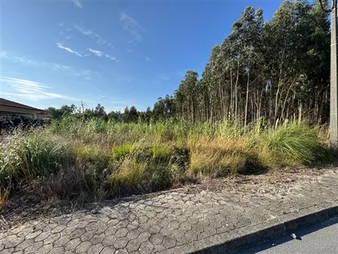 Terreno Para Construção