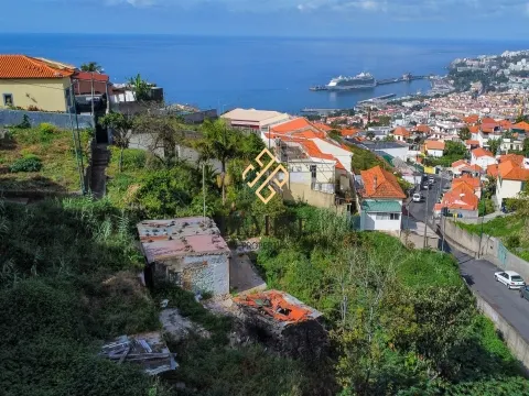 Land / Funchal, Madeira Island