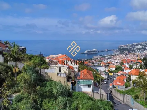 Land / Funchal, Madeira Island