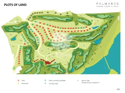 Synopsis - Meia Praia - Lagos - Algarve
