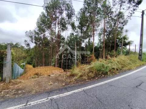 Terreno para construção em Lobão
