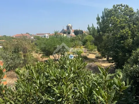 Terreno para construção em Veiros