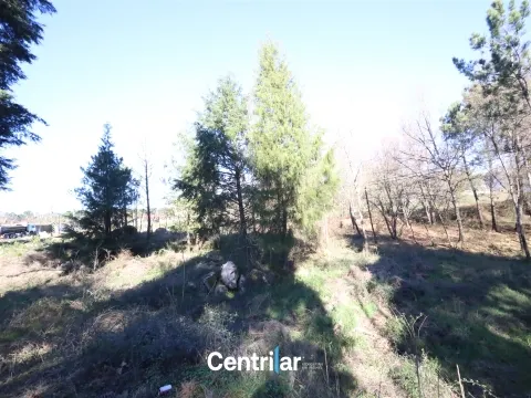 Terreno para construção de Pavilhão com 1.35 ha  junto à estrada nacional