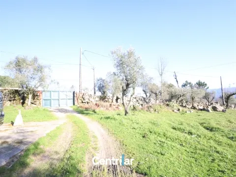  Terreno agrícola de 5 hectares com água e bons acessos