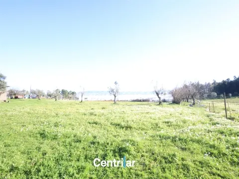  Terreno agrícola de 5 hectares com água e bons acessos